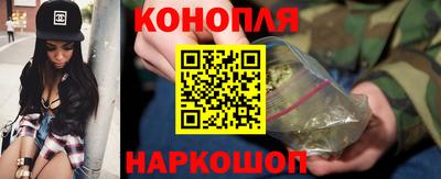 дурь Гай