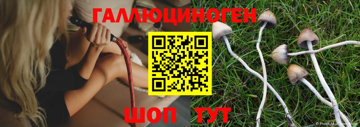 даркнет сайт  Галлюциногенные грибы Cubensis  Вход с VPN  Мурино  Галлюциногенные грибы мицелий 