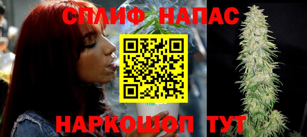Бошки Шишки план Мурино